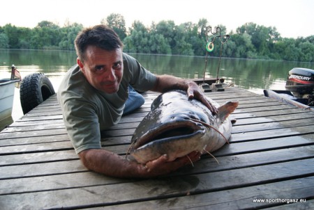 Hasraesett a nagy öreg elött