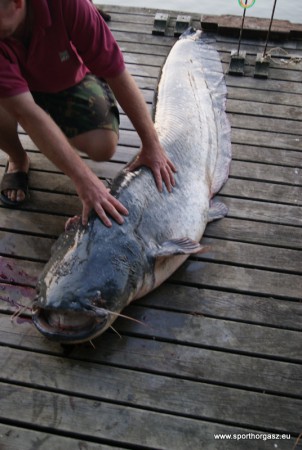 Vajon hány éves lehet ?