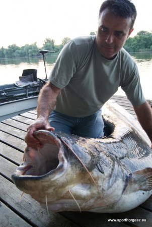 Bődületes nagy száj